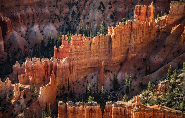 BRYCE CLOSE UP