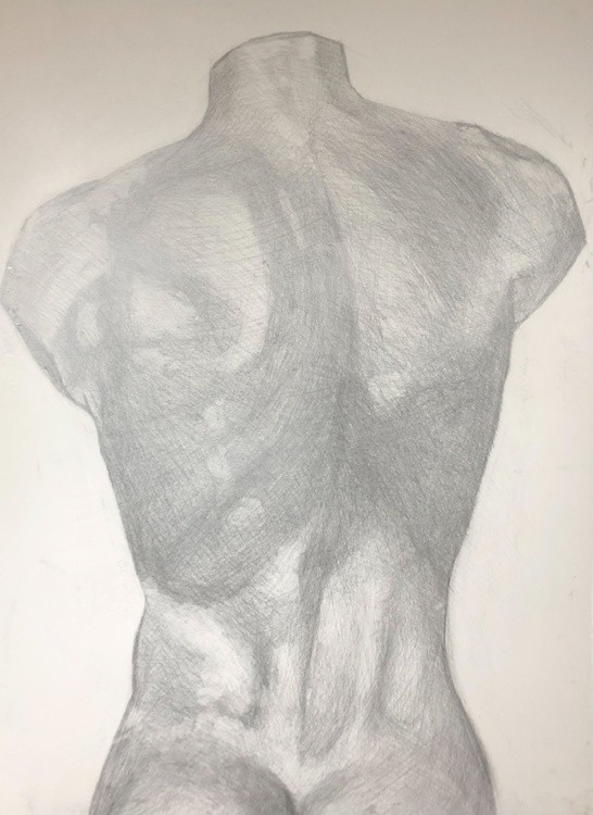 Anatomy study.