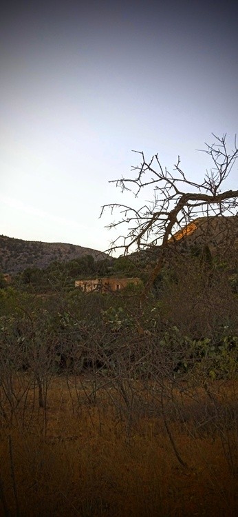 rural life..