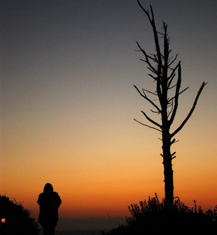 Sara sunset silhouette