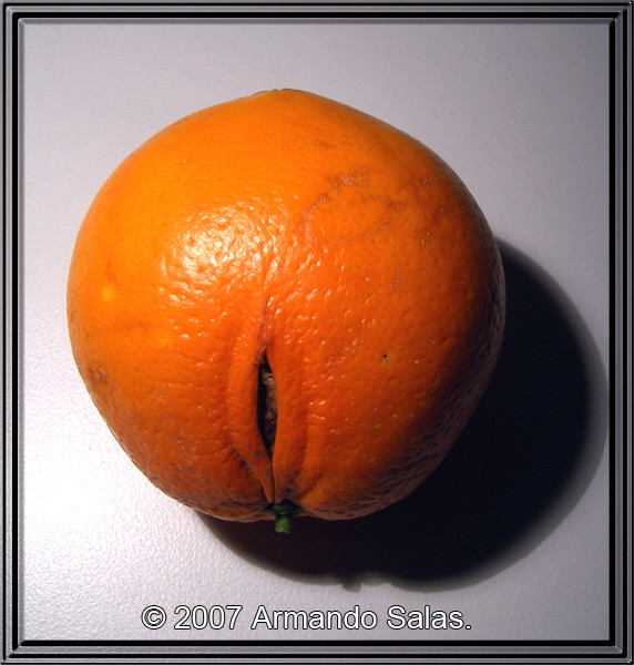 No comment, please ;-)