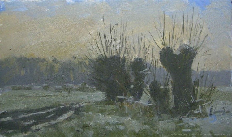Koude namiddag Doetinchem 22 12 21