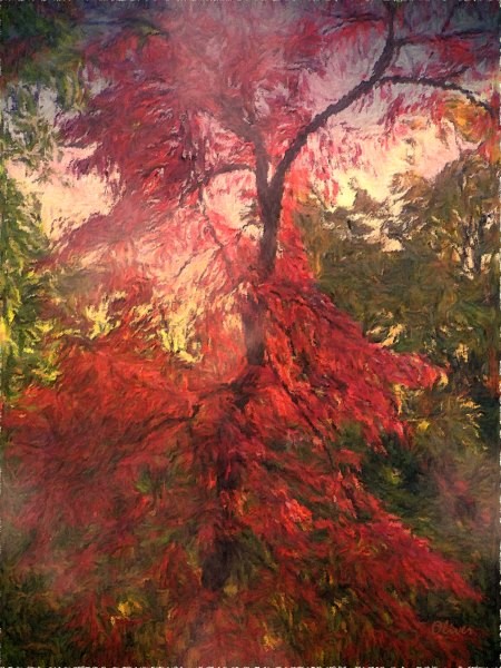 L'Arbre Rouge