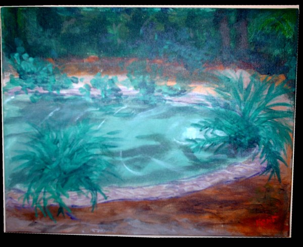 Artesian well  at Washington Oaks Gardens