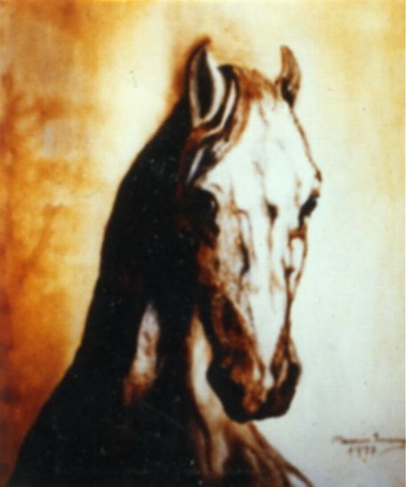 Hungarian horse