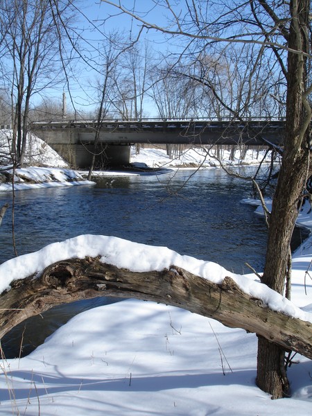 River Bridge
