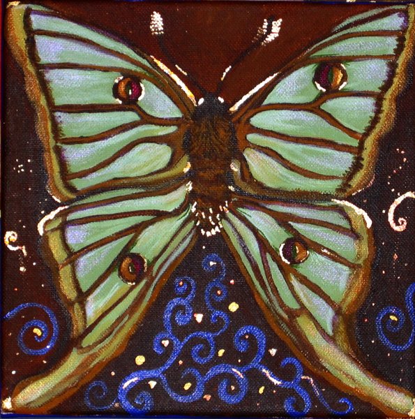 Moth