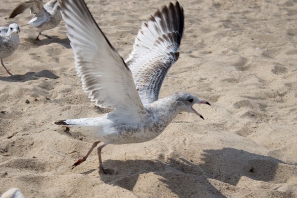 Touching Down