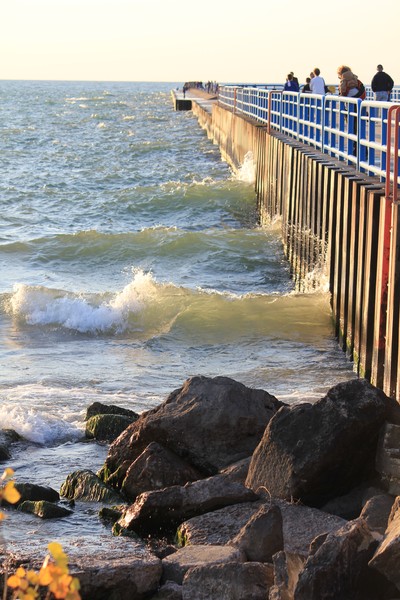 Rolling Waves