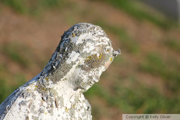 Forgotten Mary