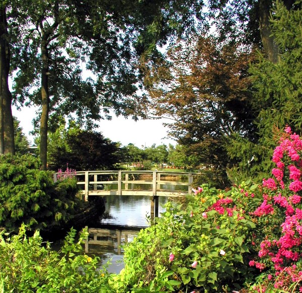 Swan Pond