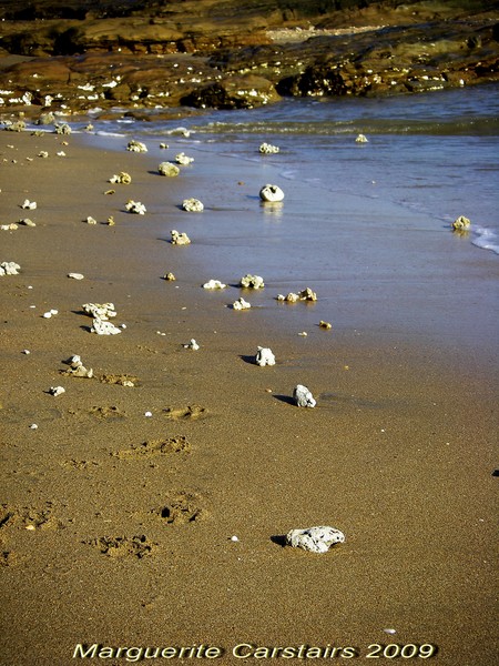Low Tide
