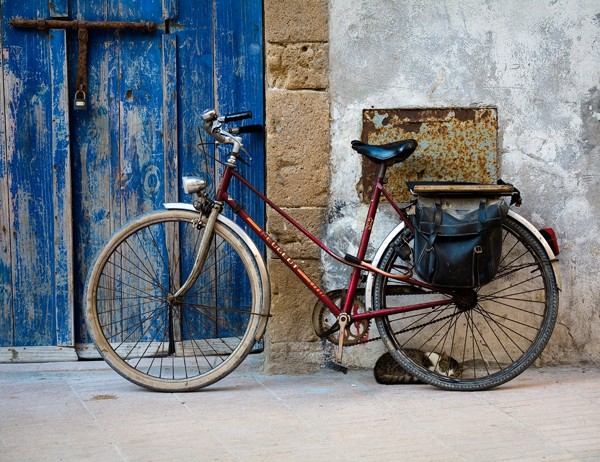 Cat, Bicycle, and Blue Door