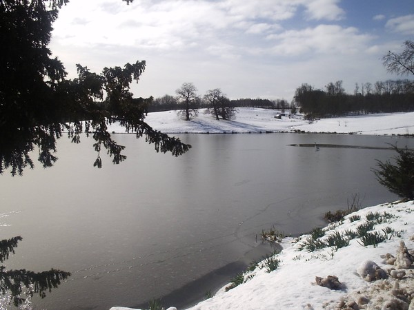 The lake
