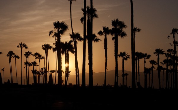 Sunset at Venice Beach