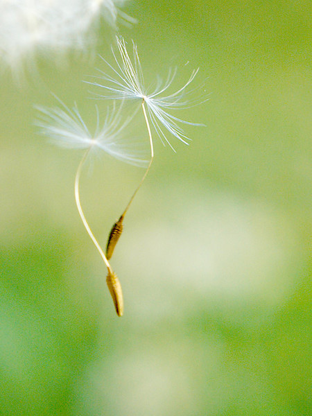 Last Tango 