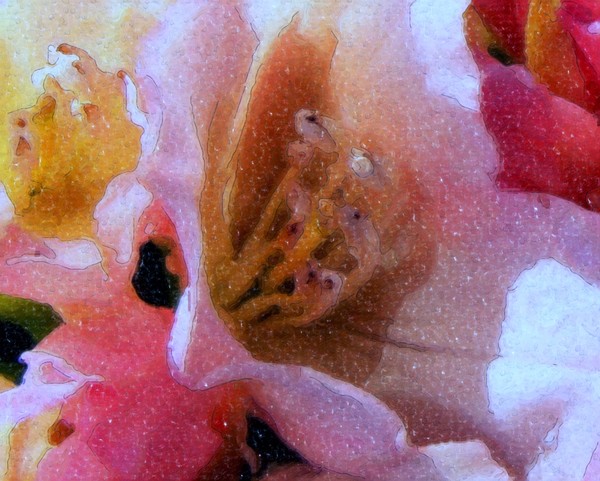 Rhododendrum in Watercolor