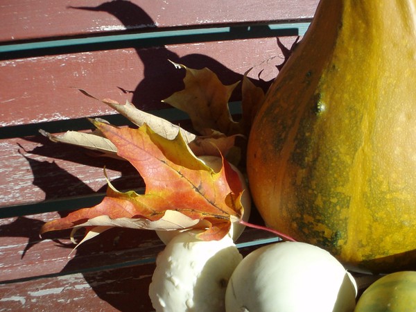 Autumn II