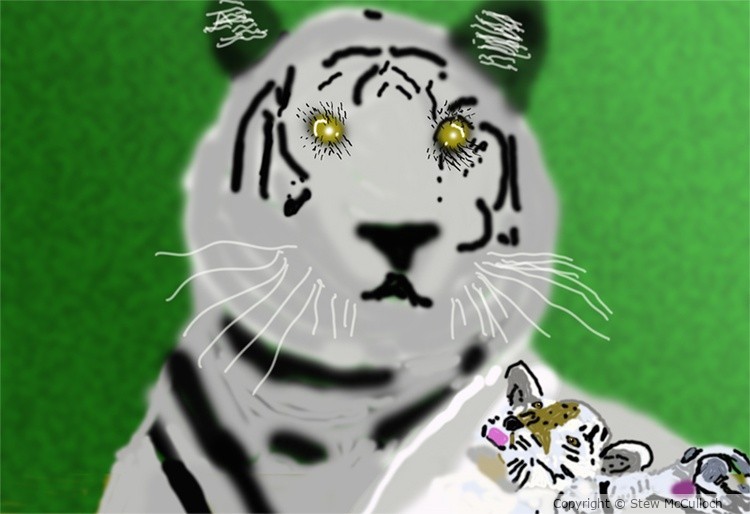 Siberian Tiger with a Kitten  P257a