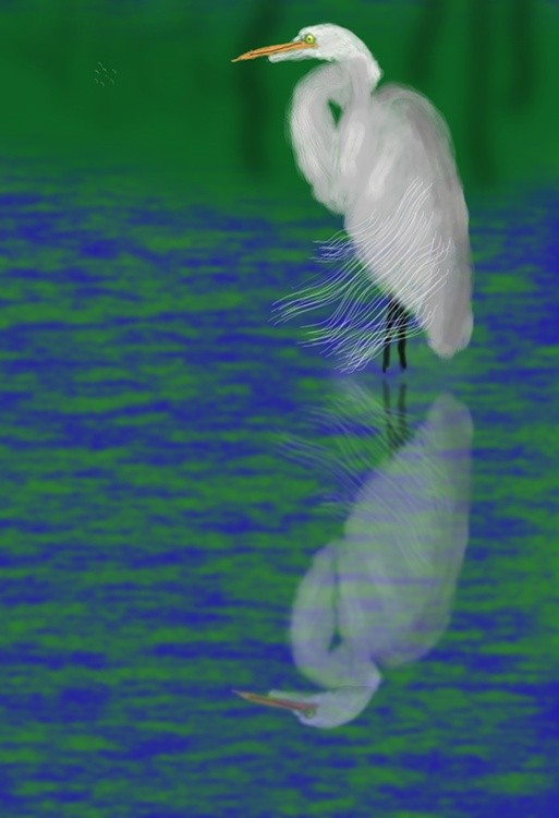 Heron in the Water  P369