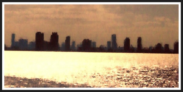 Miami by Moonlight