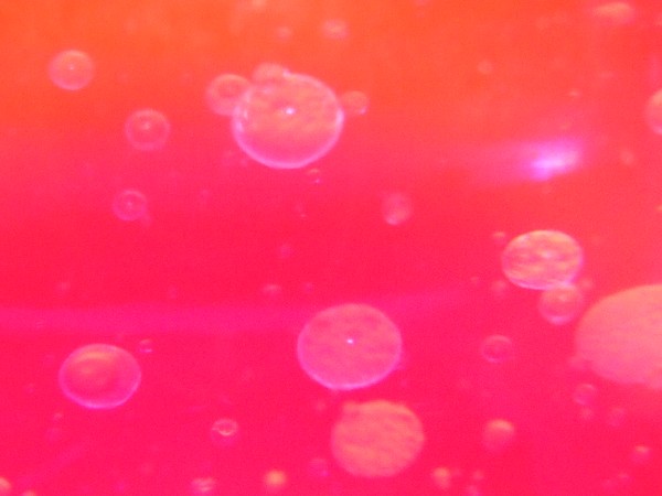 bubbles