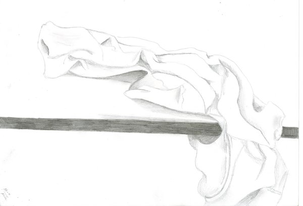 Cloth