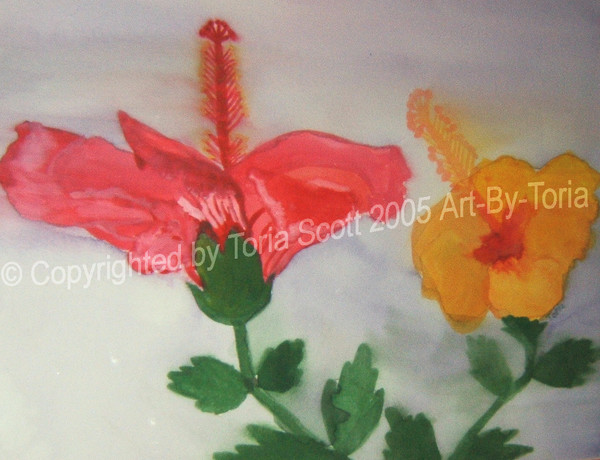 Hibiscus