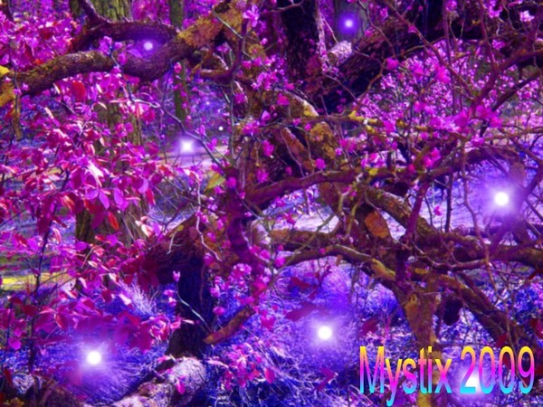 Magic garden