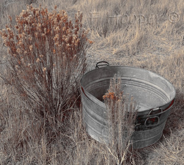 Abandoned