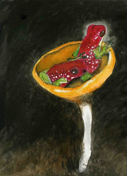 frogs in a mushroom