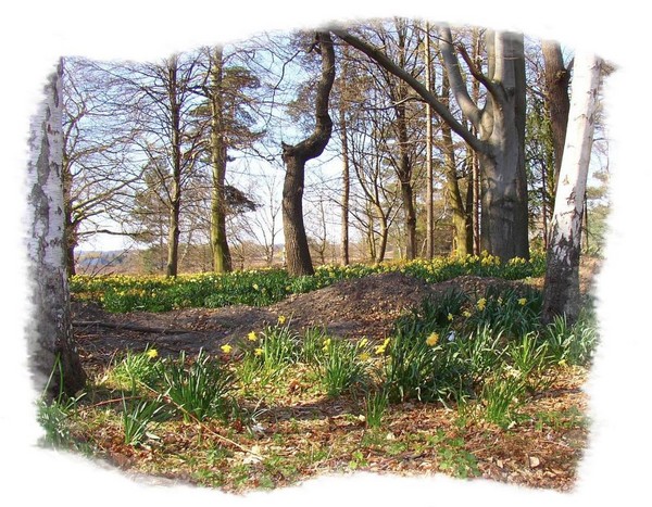 Wordsworth