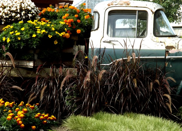Fresh Flowers On The Gardener's Old Truck (Two)