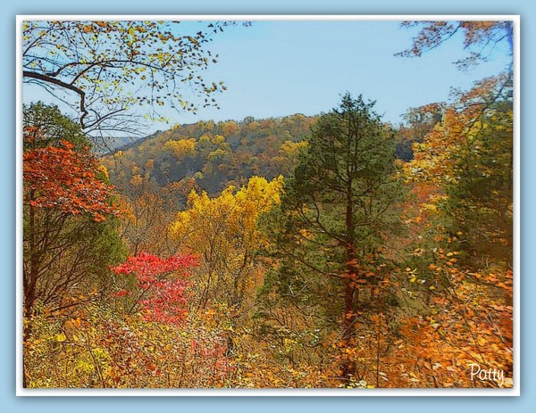 Autumn at Home...........