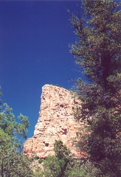 On the Road to Sedona