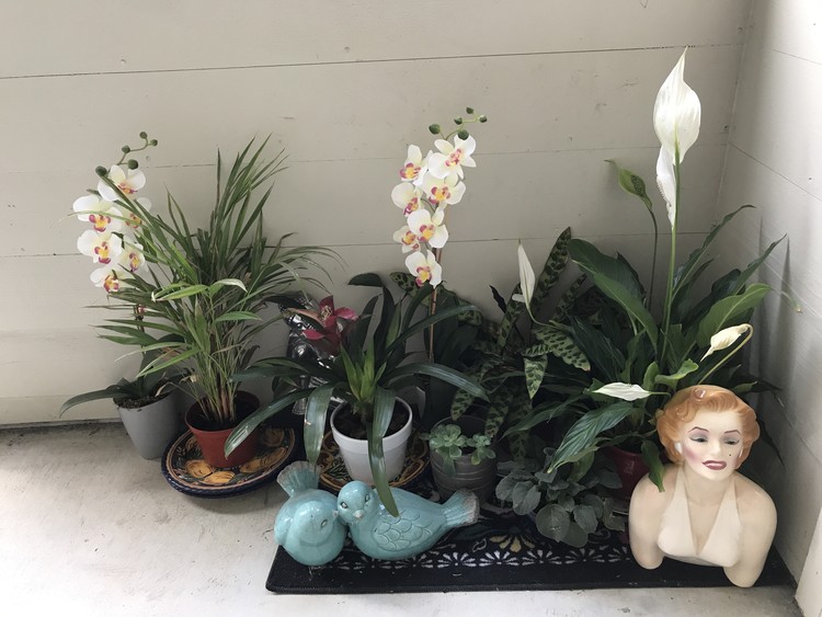 Marilyn's Garden
