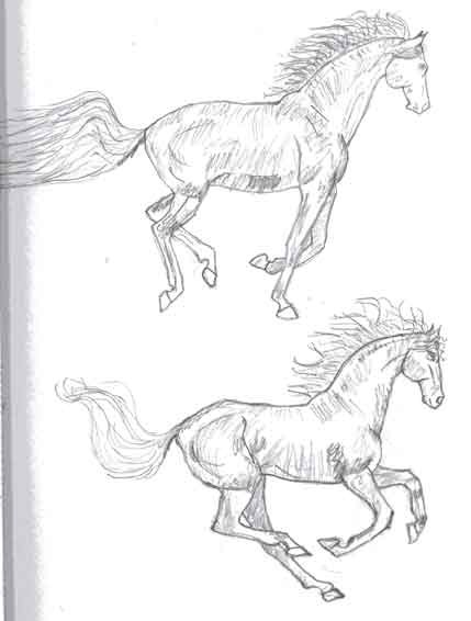 Horses Cantering