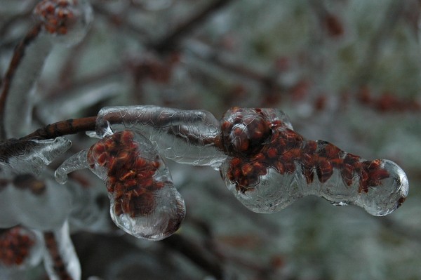 Natures Fingerprints