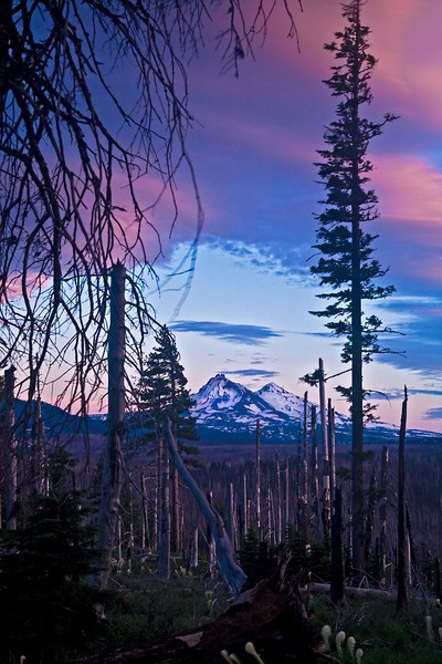 Two of The Three Sisters