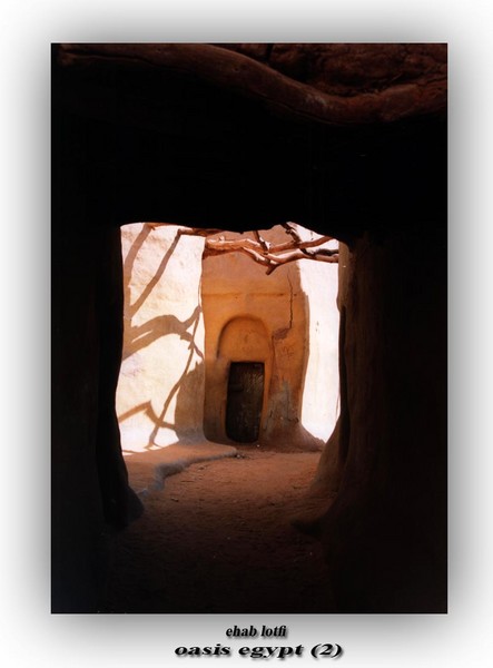 oasis egypt (2)