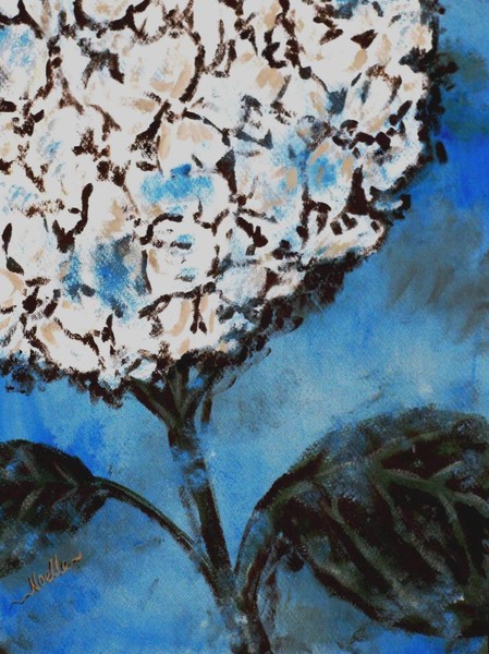 Hydrangea on blue