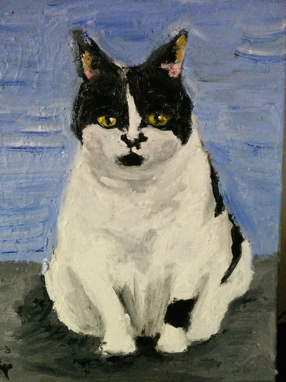 Cat