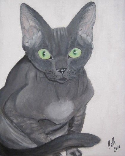 Cat