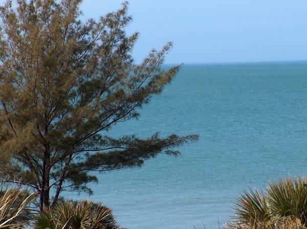 Over looking Tampabay