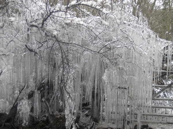 Mother Nature (Greatest Artist Ever)