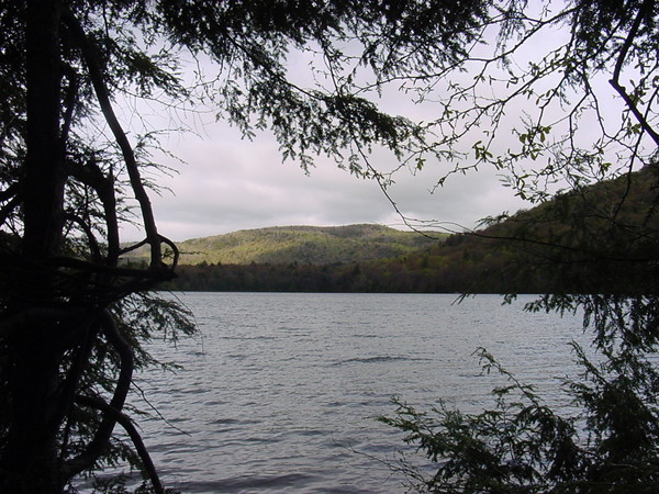 Mountian Veiw