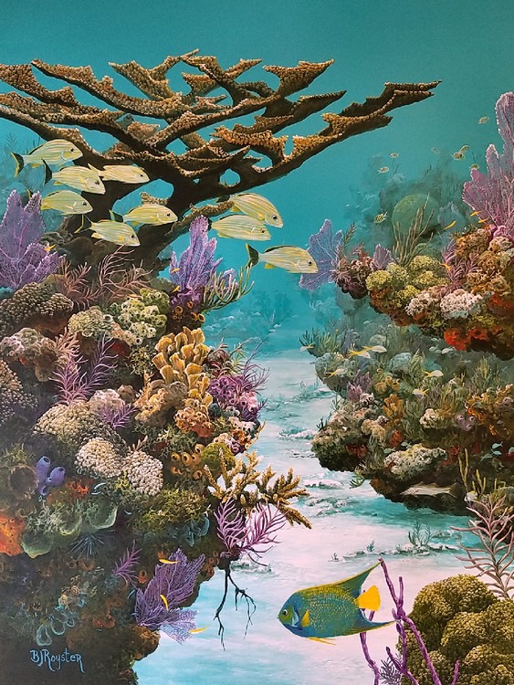 Molasses Reef