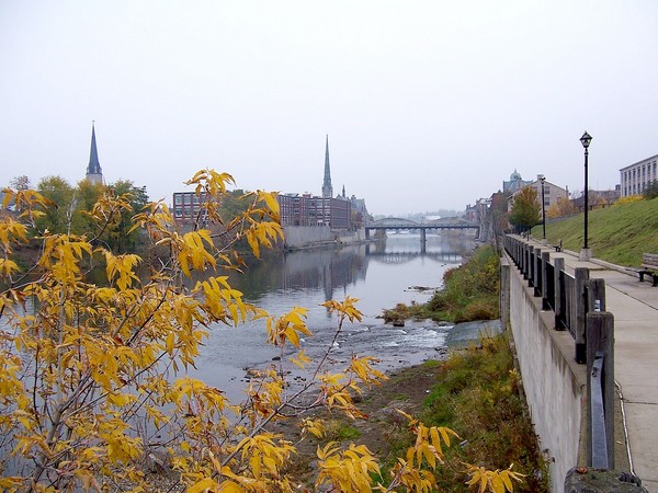 Cambridge, fall