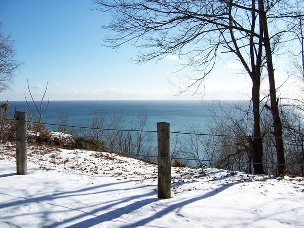 Sunny day at winter