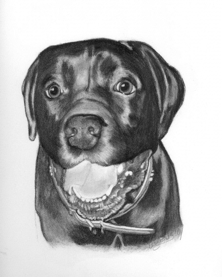 A HAPPY LAB